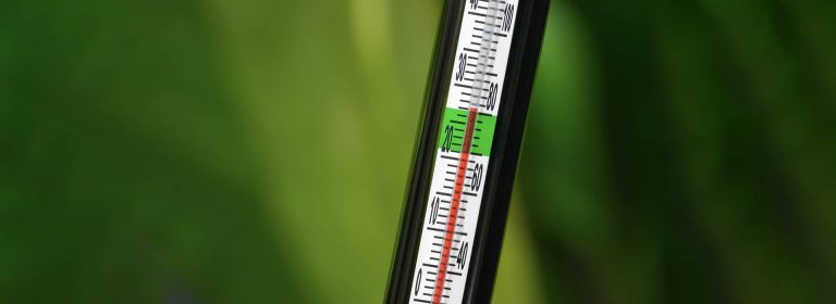 aquarium-thermometer-pano-1920×700