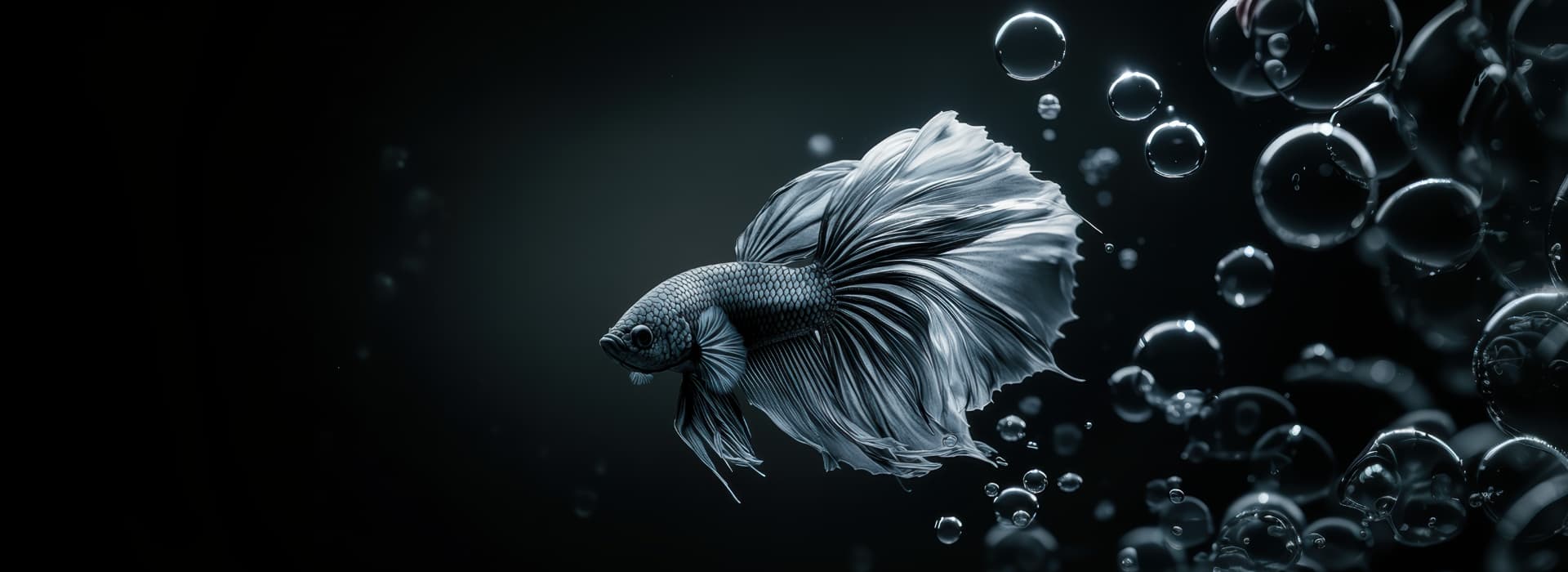 Image showcasing Aquarium Aeration: How To Properly Aerate Your Aquarium | Aquasoul